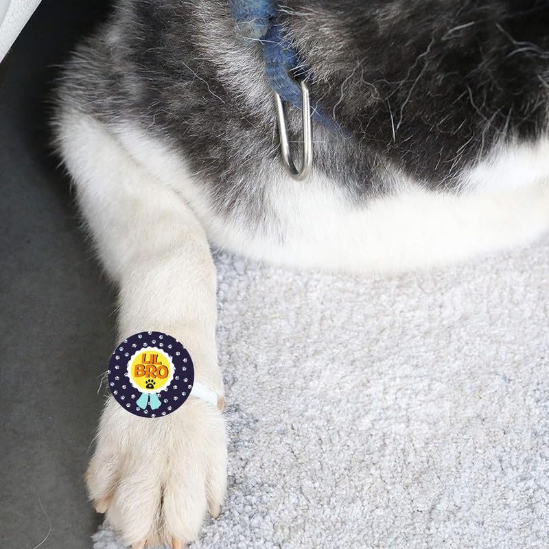 TheYayaCafe Dog Rakhi Rakshabandhan Gifts for Pets, Acrylic Paw Accessories with Elastic Band Lil Bro, Raksha Bandhan Rakhi for Dog Brother from Sister