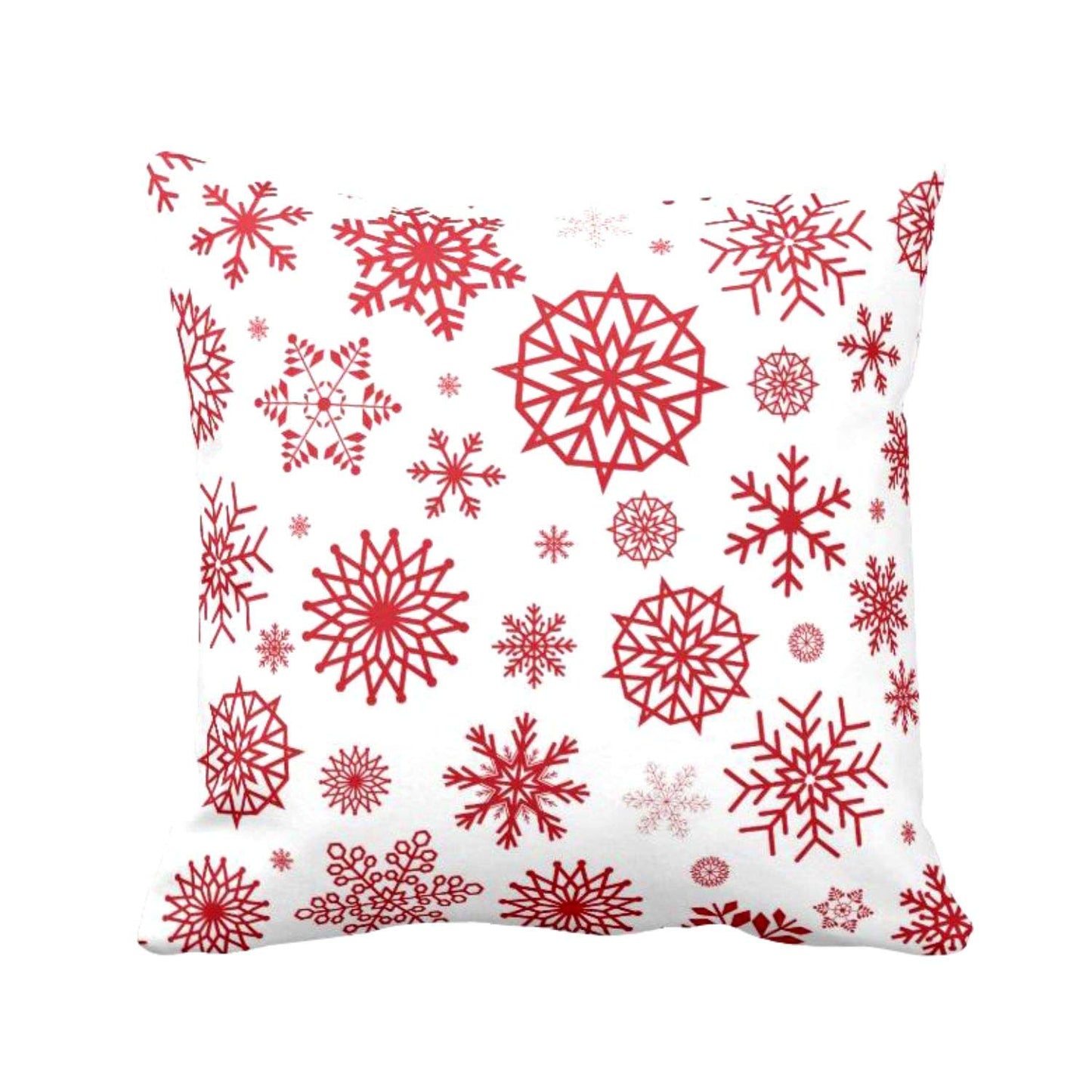 product-241514-img-3