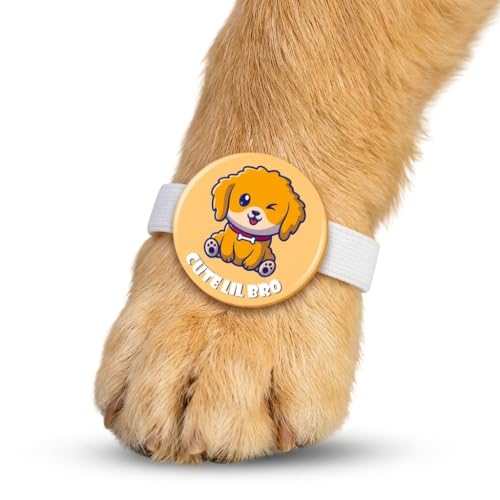 TheYayaCafe Dog Rakhi for Pets Cute Lil Bro Acrylic Rakshabandhan Gift for Dogs, Rakhi for Fur Brothers, Brother, Family