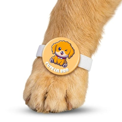 TheYayaCafe Dog Rakhi for Pets Cute Lil Bro Acrylic Rakshabandhan Gift for Dogs, Rakhi for Fur Brothers, Brother, Family