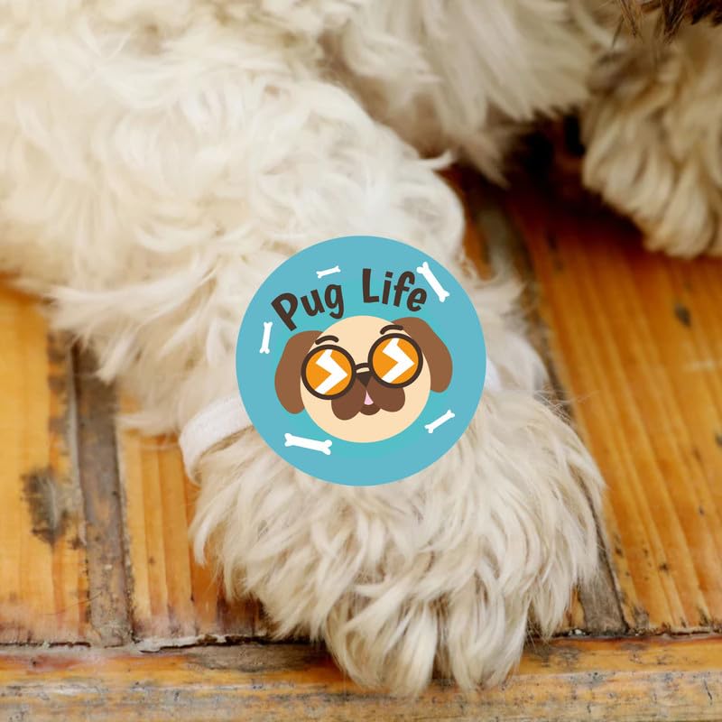 TheYayaCafe Dog Rakhi Rakshabandhan Gifts for Pets Paw Accessories Pug Life 1.5 Inch Acrylic, Rakhi Gift for Dogs, Cats, Pups from Sister, Brother on Raksha Bandhan, Pet Lovers