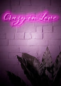 Crazy in Love Romantic Neon Light Sign