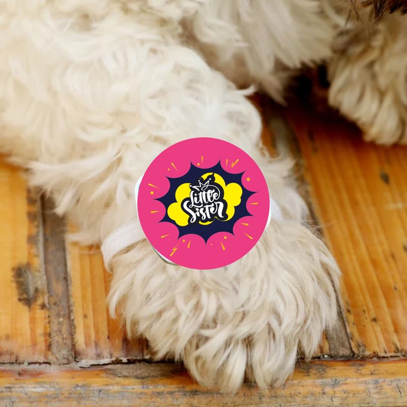 TheYayaCafe Dog Rakhi Rakshabandhan Gift for Pets with Acrylic Paw Design and Elastic Band, Rakhi Gifts for Dogs, Cats and Puppies for Raksha Bandhan, Little Sister