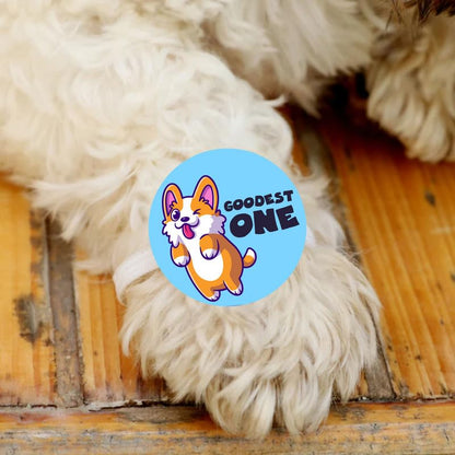 TheYayaCafe Dog Rakhi Rakshabandhan Gift for Pets, Paw Accessories with Elastic Band (1.5 Inch Dial), Rakhi Gift for Dogs from Sister to Fur-Brother, Raksha Bandhan Pet Gift