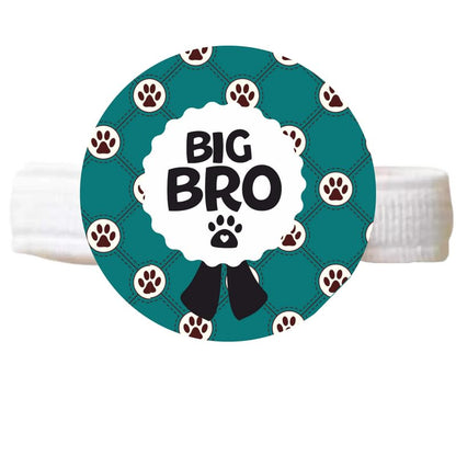 TheYayaCafe Dog Rakhi Rakshabandhan Gift Set Paw Accessories for Pets, Acrylic Rakhi for Dogs with Elastic Band, Cats, Puppies on Raksha Bandhan, Big Bro