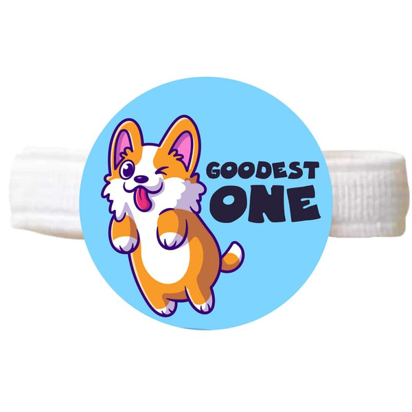 TheYayaCafe Dog Rakhi Rakshabandhan Gift for Pets, Paw Accessories with Elastic Band (1.5 Inch Dial), Rakhi Gift for Dogs from Sister to Fur-Brother, Raksha Bandhan Pet Gift