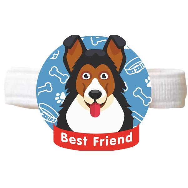 TheYayaCafe Dog Rakhi Rakshabandhan Gift for Pets Paw Accessories with Acrylic Dial and Elastic Band, Rakhi for Dogs Cats, Raksha Bandhan Gift for Pet Lovers from Owner