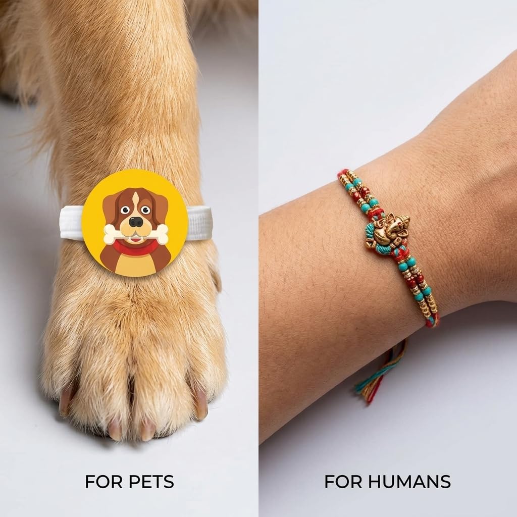TheYayaCafe Dog Rakhi Rakshabandhan Gift for Pets, Acrylic Paw Rakhi with Elastic Band, 1.5 Inches, Cats and Fur Babies from Pet Parents, Raksha Bandhan, Birthday, Diwali