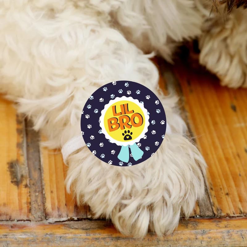 TheYayaCafe Dog Rakhi Rakshabandhan Gifts for Pets, Acrylic Paw Accessories with Elastic Band Lil Bro, Raksha Bandhan Rakhi for Dog Brother from Sister