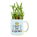 Best Dad I Love You Lucky Bamboo Plant with Mug Planter