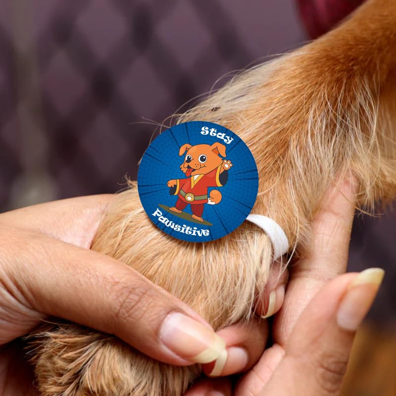 TheYayaCafe Dog Rakhi Rakshabandhan Gifts for Pets Paw Accessories - Stay Pawsitive, Rakhi for Dog, Cat, Puppy, Pet Lovers, Raksha Bandhan Gift for Fur Baby, Brother, Sister