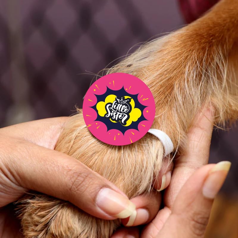 TheYayaCafe Dog Rakhi Rakshabandhan Gift for Pets with Acrylic Paw Design and Elastic Band, Rakhi Gifts for Dogs, Cats and Puppies for Raksha Bandhan, Little Sister
