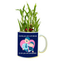 Daddy You Are Perfection Lucky Bamboo Mug Planter Pot