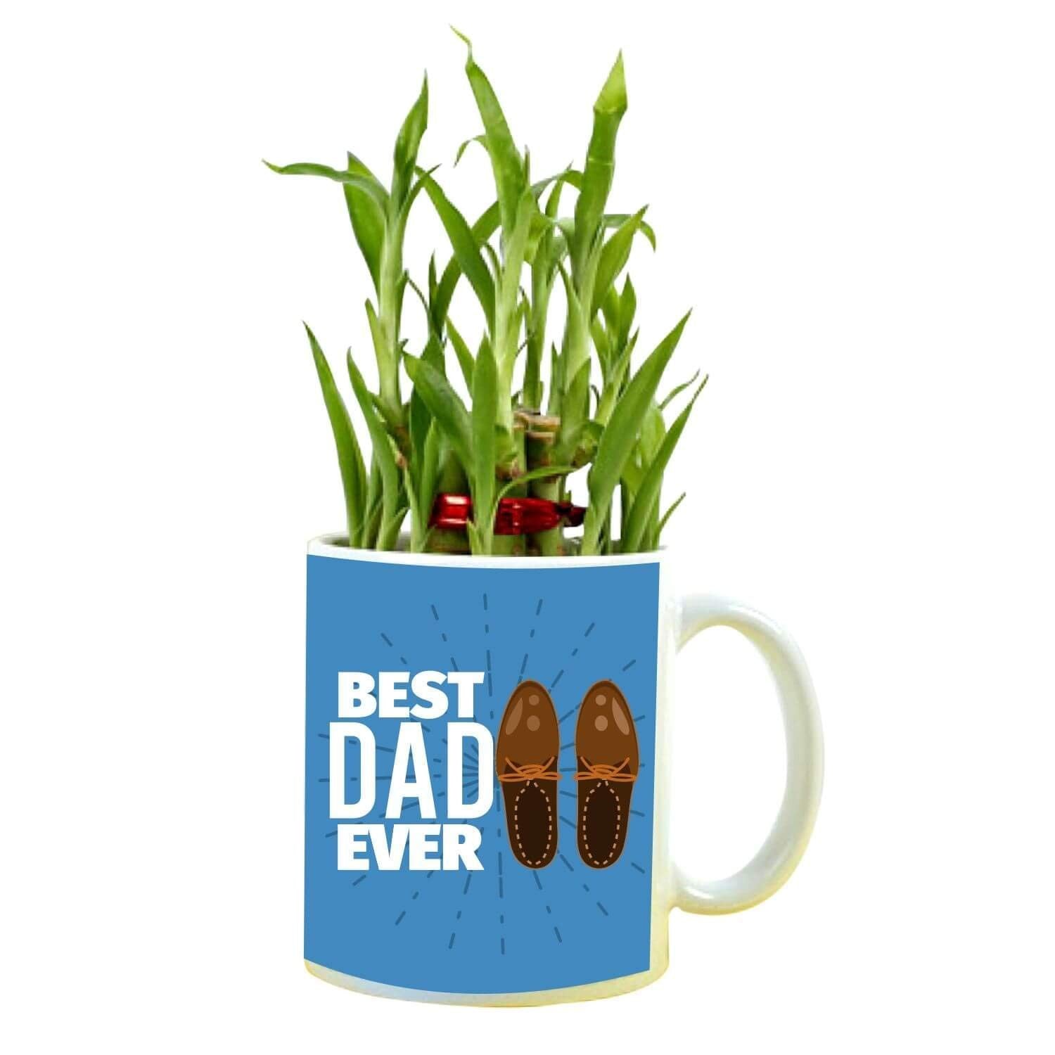 61Bc3mTy-qL._SL1500_-7.jpg