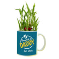 Promoted to Daddy Lucky Bamboo Mug Planter Pot, Personalised