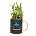 Daddy You Are My King Lucky Bamboo Mug Planter Pot, Personalised