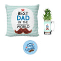 Best Dad Hamper: Bamboo Plant, Cushion Cover & Magnet Set