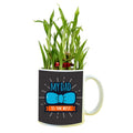 My Dad is The Best Lucky Bamboo Mug Planter Pot, Personalised