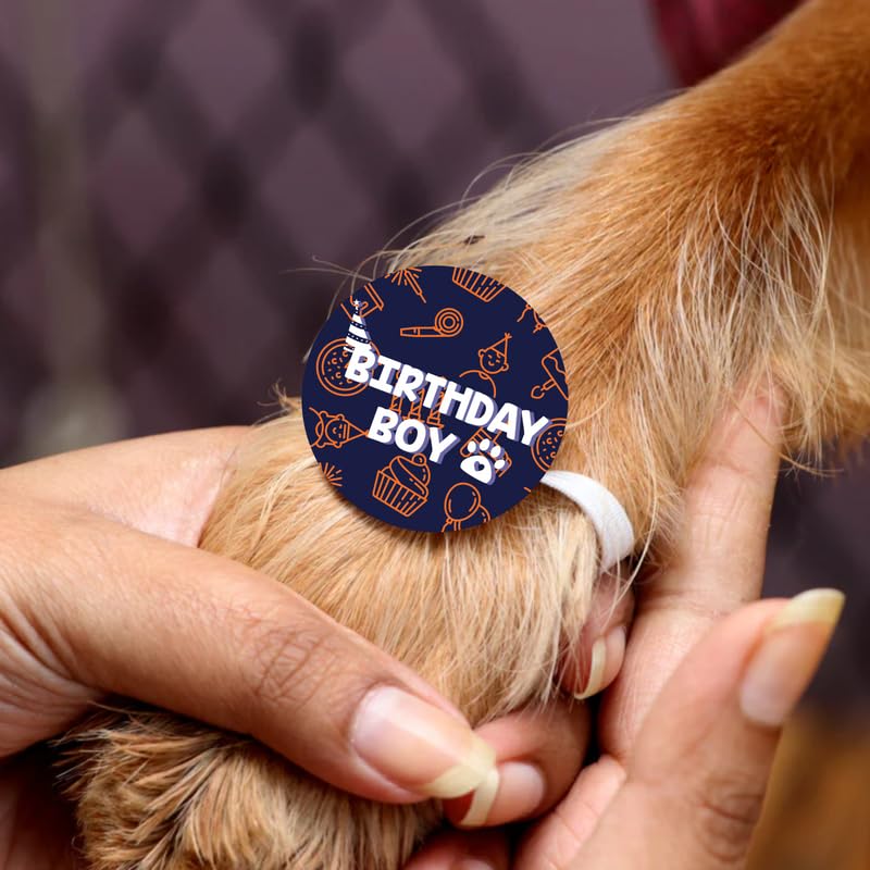 TheYayaCafe Dog Rakhi Raksha Bandhan Gifts for Pets Paw Accessories, Birthday Boy Blue Acrylic Rakhi for Dogs, Cat, Puppy