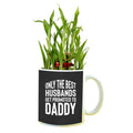 Best Husbands Get Promoted to Daddy Lucky Bamboo Mug Planter