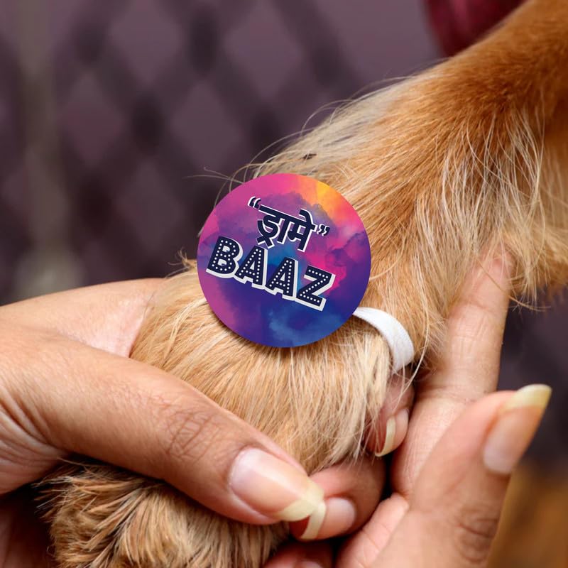 TheYayaCafe Dog Rakhi for Pets, Acrylic Paw Rakhi Raksha Bandhan Gift with Elastic Band, Cats, Puppies, Pet Accessories