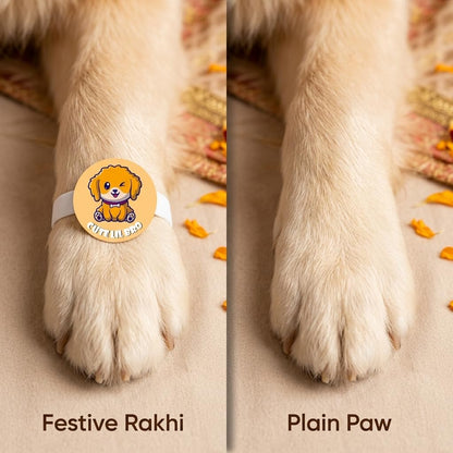 TheYayaCafe Dog Rakhi for Pets Cute Lil Bro Acrylic Rakshabandhan Gift for Dogs, Rakhi for Fur Brothers, Brother, Family