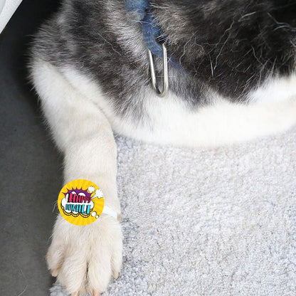 TheYayaCafe Dog Rakhi Rakshabandhan Gift for Pets, Acrylic Paw Accessory with Elastic Band, Rakhi Gift for Dogs, Cats and Puppies on Raksha Bandhan, Happy Diwali, from Pet Parent to Furry Friend