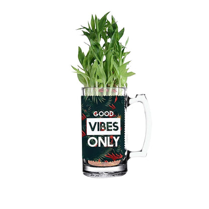Good Vibes Only Bamboo Plant