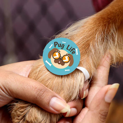 TheYayaCafe Dog Rakhi Rakshabandhan Gifts for Pets Paw Accessories Pug Life 1.5 Inch Acrylic, Rakhi Gift for Dogs, Cats, Pups from Sister, Brother on Raksha Bandhan, Pet Lovers