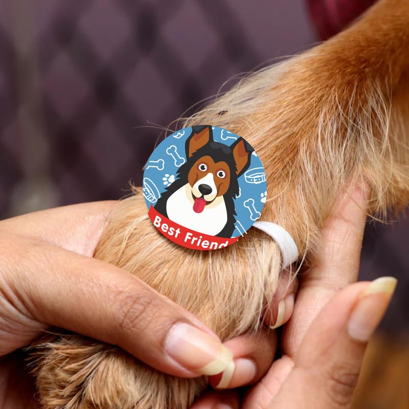 TheYayaCafe Dog Rakhi Rakshabandhan Gift for Pets Paw Accessories with Acrylic Dial and Elastic Band, Rakhi for Dogs Cats, Raksha Bandhan Gift for Pet Lovers from Owner