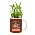 Most Charming Dad in The World Lucky Bamboo Mug Planter Pot