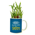 Hello My Name is Daddy Lucky Bamboo Mug Planter Pot, Personalised