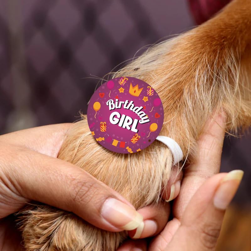 TheYayaCafe Dog Rakhi Rakshabandhan Gift Set for Pets Paw Print Design, Raksha Bandhan Rakhi for Dogs and Cats, Birthday Gift for Pet Lovers, Maa, Papa, from Daughter and Son