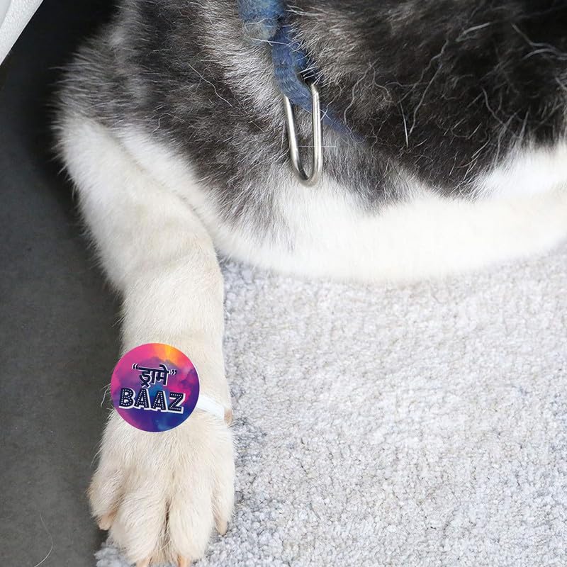 TheYayaCafe Dog Rakhi for Pets, Acrylic Paw Rakhi Raksha Bandhan Gift with Elastic Band, Cats, Puppies, Pet Accessories