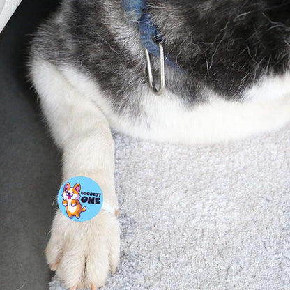 TheYayaCafe Dog Rakhi Rakshabandhan Gift for Pets, Paw Accessories with Elastic Band (1.5 Inch Dial), Rakhi Gift for Dogs from Sister to Fur-Brother, Raksha Bandhan Pet Gift