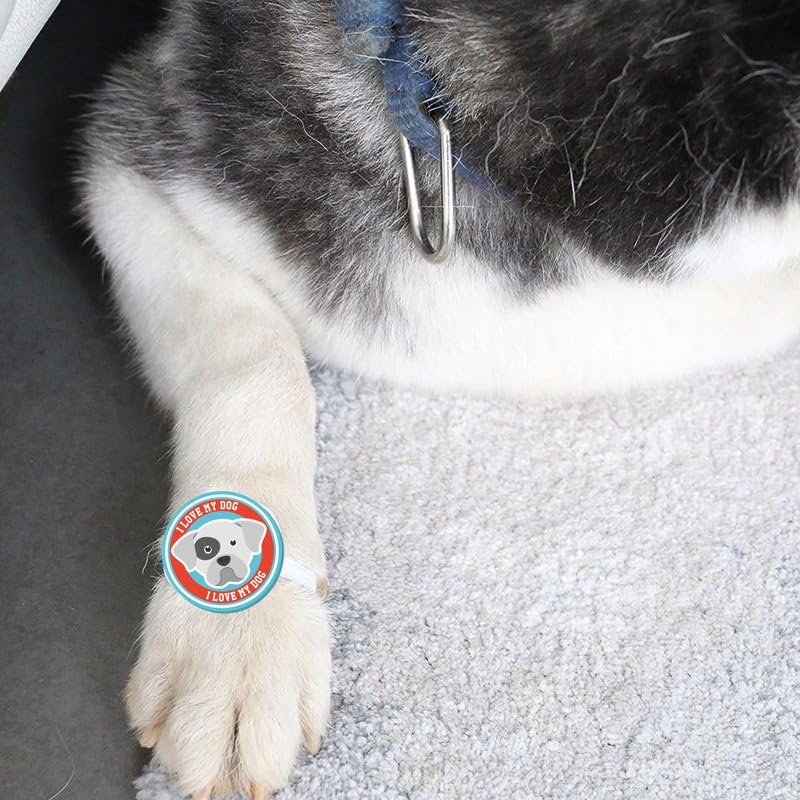 TheYayaCafe Dog Rakhi Rakshabandhan Gift for Pets, Acrylic Paw Print Rakhi with Elastic Band (1.5 Inch), Raksha Bandhan Gifts for Fur Baby