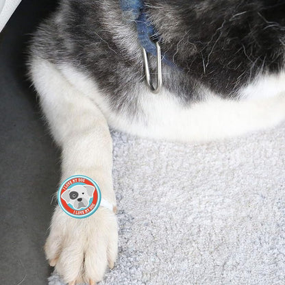 TheYayaCafe Dog Rakhi Rakshabandhan Gift for Pets, Acrylic Paw Print Rakhi with Elastic Band (1.5 Inch), Raksha Bandhan Gifts for Fur Baby