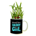 Proud Daddy It's A Girl Lucky Bamboo Mug Planter Pot, Personalised