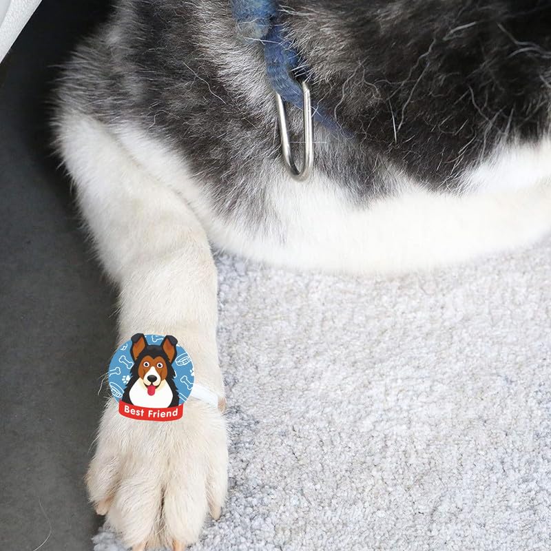 TheYayaCafe Dog Rakhi Rakshabandhan Gift for Pets Paw Accessories with Acrylic Dial and Elastic Band, Rakhi for Dogs Cats, Raksha Bandhan Gift for Pet Lovers from Owner