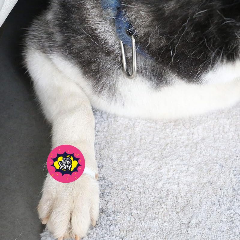 TheYayaCafe Dog Rakhi Rakshabandhan Gift for Pets with Acrylic Paw Design and Elastic Band, Rakhi Gifts for Dogs, Cats and Puppies for Raksha Bandhan, Little Sister