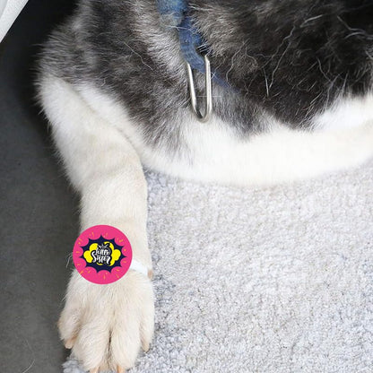 TheYayaCafe Dog Rakhi Rakshabandhan Gift for Pets with Acrylic Paw Design and Elastic Band, Rakhi Gifts for Dogs, Cats and Puppies for Raksha Bandhan, Little Sister