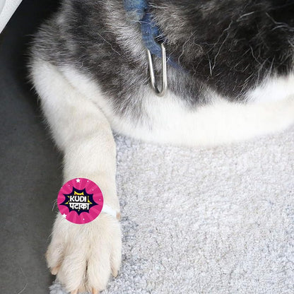 TheYayaCafe Dog Rakhi Rakshabandhan Gifts for Pets Paw Accessories Kudi Pataka, Acrylic Rakhi for Dog, Cat, Puppy, Raksha Bandhan Gift for Pet Lovers, Brother, Sister