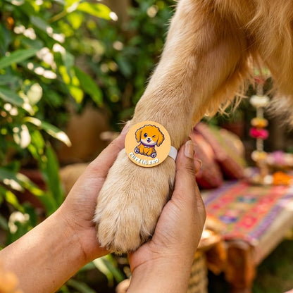 TheYayaCafe Dog Rakhi for Pets Cute Lil Bro Acrylic Rakshabandhan Gift for Dogs, Rakhi for Fur Brothers, Brother, Family