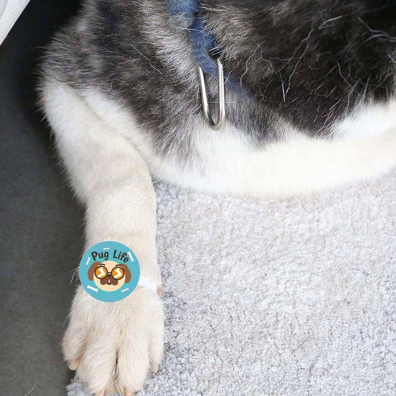 TheYayaCafe Dog Rakhi Rakshabandhan Gifts for Pets Paw Accessories Pug Life 1.5 Inch Acrylic, Rakhi Gift for Dogs, Cats, Pups from Sister, Brother on Raksha Bandhan, Pet Lovers
