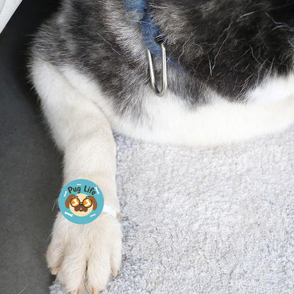 TheYayaCafe Dog Rakhi Rakshabandhan Gifts for Pets Paw Accessories Pug Life 1.5 Inch Acrylic, Rakhi Gift for Dogs, Cats, Pups from Sister, Brother on Raksha Bandhan, Pet Lovers
