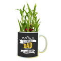 Lucky Bamboo Plant Mug Planter - Great Dad Adventures Gift