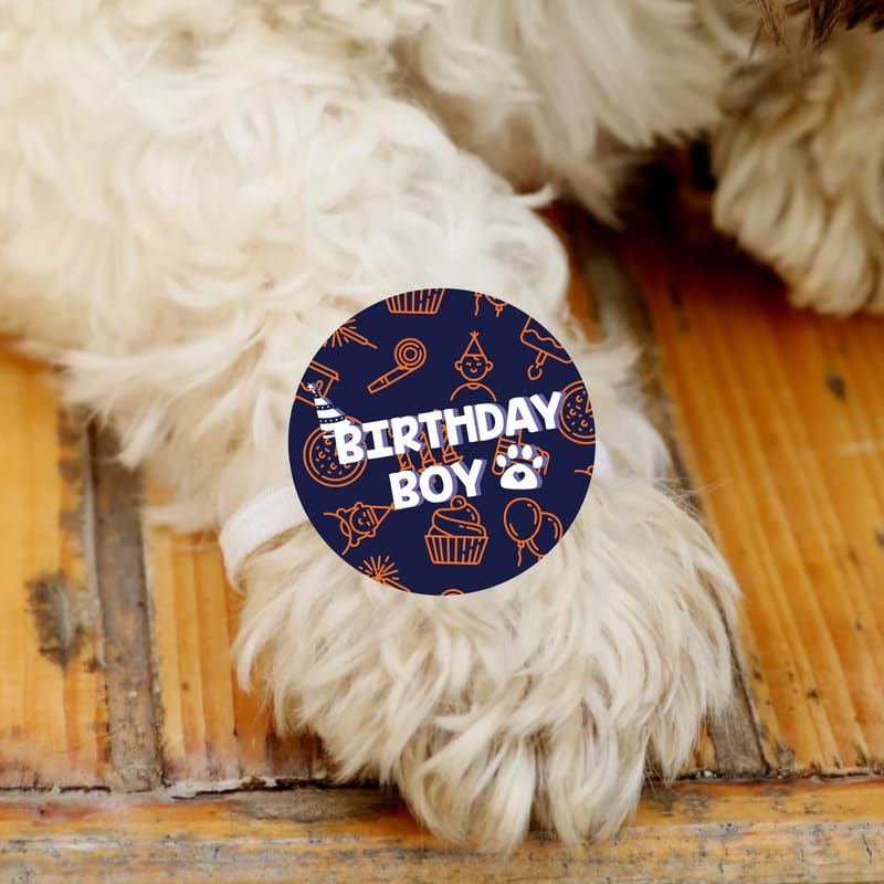 TheYayaCafe Dog Rakhi Raksha Bandhan Gifts for Pets Paw Accessories, Birthday Boy Blue Acrylic Rakhi for Dogs, Cat, Puppy