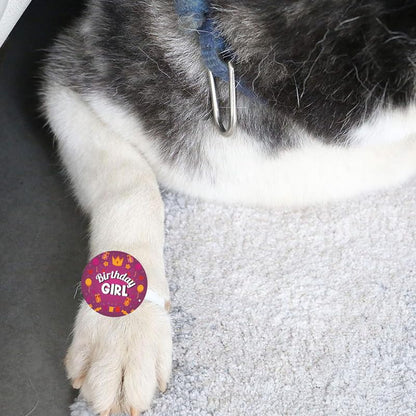 TheYayaCafe Dog Rakhi Rakshabandhan Gift Set for Pets Paw Print Design, Raksha Bandhan Rakhi for Dogs and Cats, Birthday Gift for Pet Lovers, Maa, Papa, from Daughter and Son