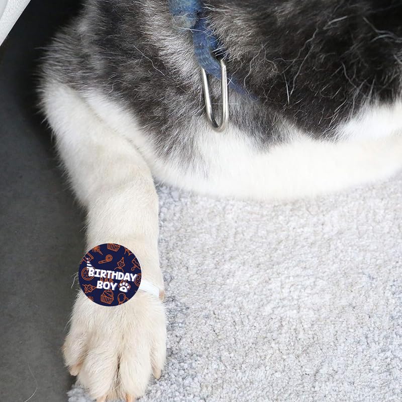 TheYayaCafe Dog Rakhi Raksha Bandhan Gifts for Pets Paw Accessories, Birthday Boy Blue Acrylic Rakhi for Dogs, Cat, Puppy