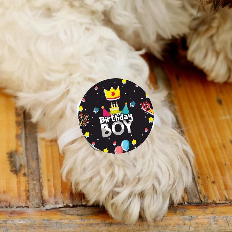TheYayaCafe Dog Rakhi Rakshabandhan Gift for Pets, Acrylic Paw Accessory with Elastic Band, Rakhi Gifts for Dogs, Cats and Puppies